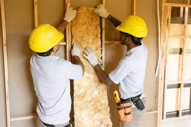Best Fiberglass Insulation  in Bladensburg, MD