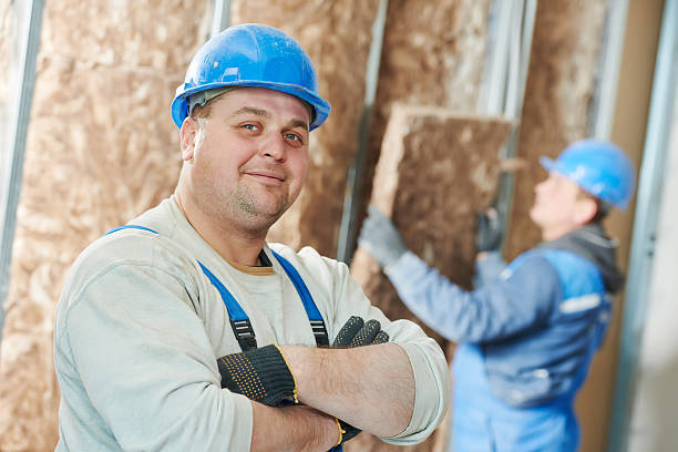 Best Spray Foam Insulation  in Bladensburg, MD
